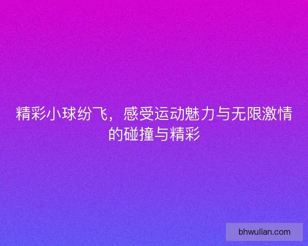 精彩小球纷飞，感受运动魅力与无限激情的碰撞与精彩