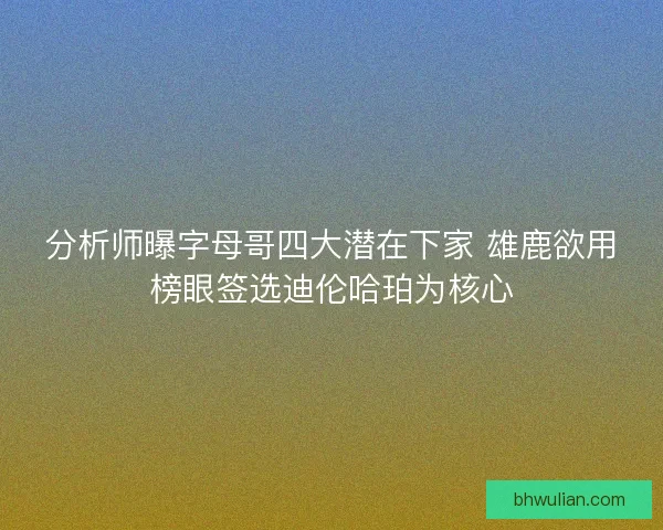 分析师曝字母哥四大潜在下家 雄鹿欲用榜眼签选迪伦哈珀为核心 分析师曝字母哥四大潜在下家 雄鹿欲用榜眼签选迪伦哈珀为核心