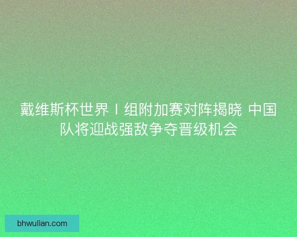 戴维斯杯世界Ⅰ组附加赛对阵揭晓 中国队将迎战强敌争夺晋级机会