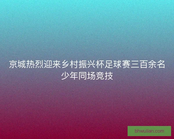 京城热烈迎来乡村振兴杯足球赛三百余名少年同场竞技 京城热烈迎来乡村振兴杯足球赛三百余名少年同场竞技
